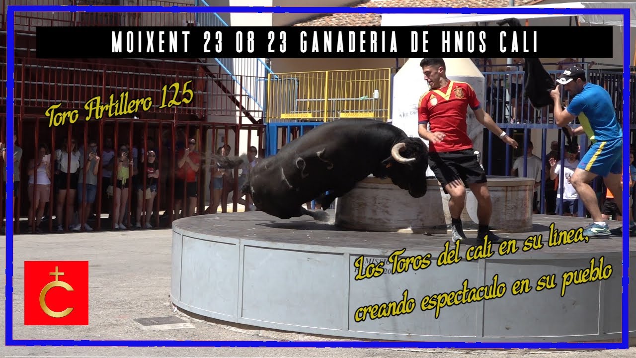 Moixent del 21 al 23 ▪ 08 ▪ 23 ▪  Ganadería de Hnos Cali