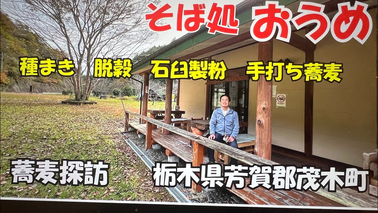 そばの種まきから自前の畑で育て刈り取り・石臼挽き・手打ちという一貫体制作っています、妥協なし、コシと香りにとことんこだわり『本物の田舎そば』野菜・山菜は地元産・採りたて旬の味