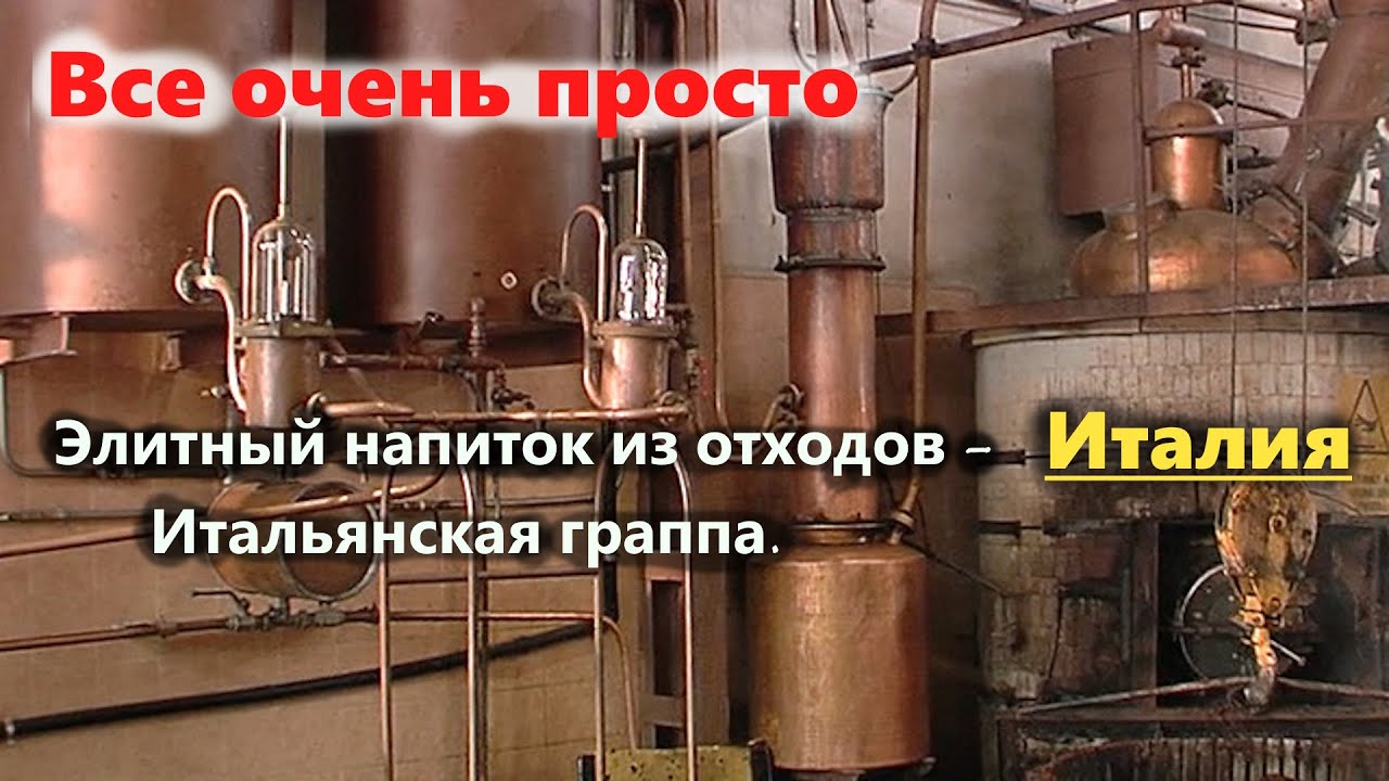 Самогон или Граппа? Как в Италии из отходов виноделия делают элитный алкоголь. Экскурсия на фабрику.