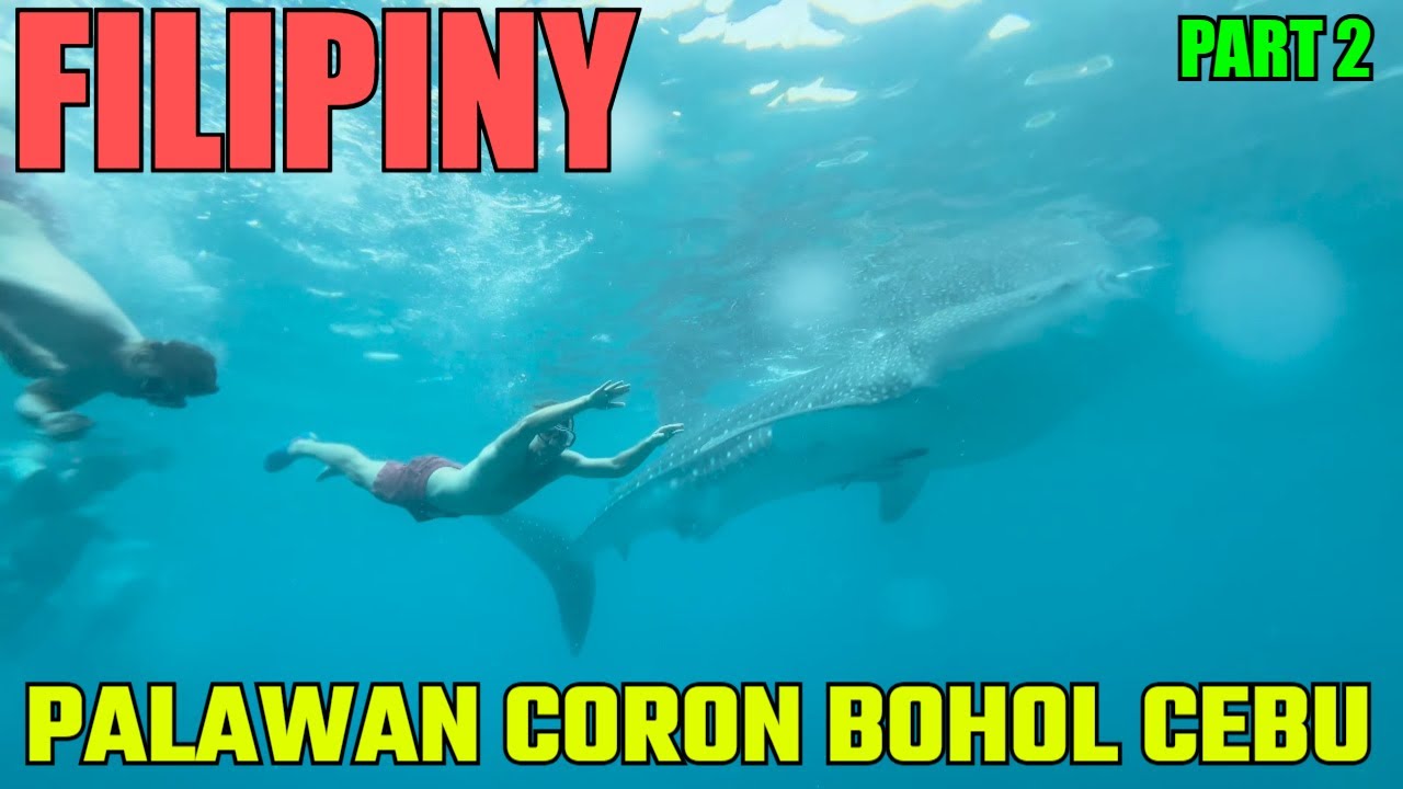 FILIPÍNY část 2 - Co navštívit na Palawanu, Coronu, Boholu & Cebu