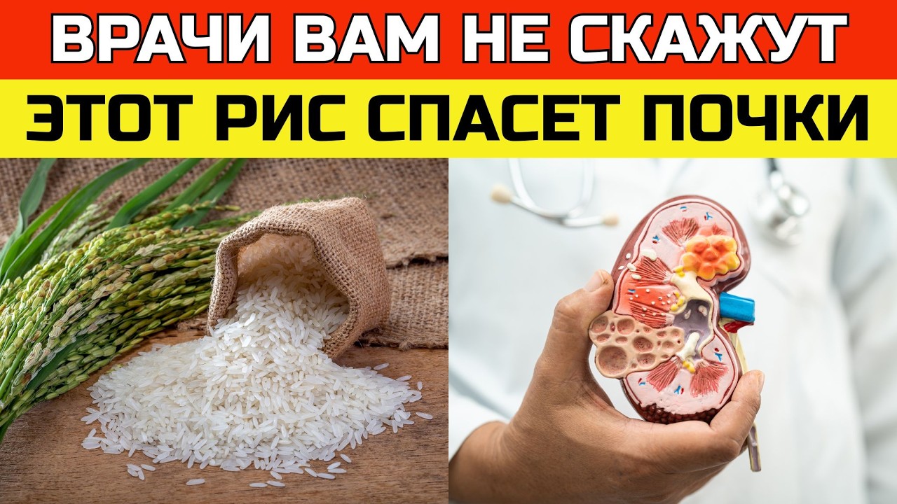 3 лучших вида риса для очищения почек и выведения токсинов | ЗДОРОВЬЕ ПОСЛЕ 50