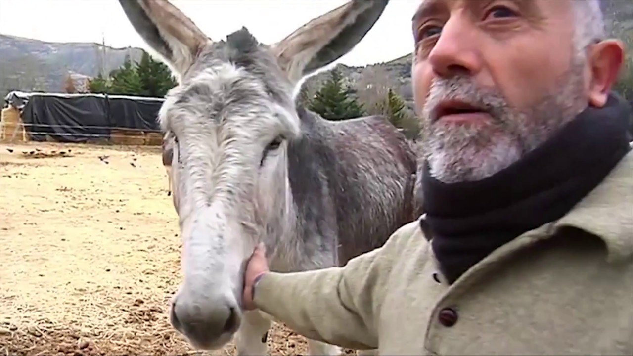 La Reserva del Burro Andaluz en TG7