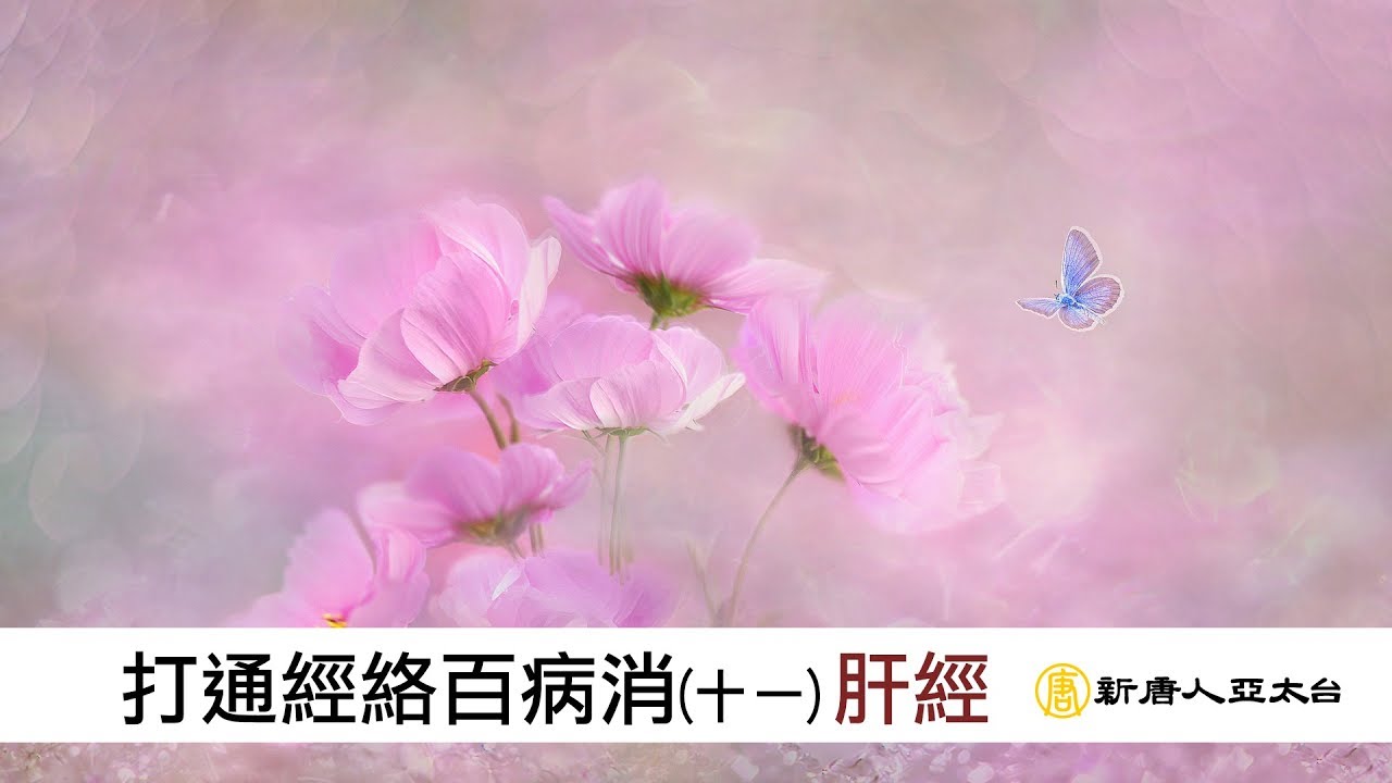 愛生氣、鬱悶的人特別傷肝 拍打肝經馬上讓你心情舒暢！ ｜談古論今話中醫(387)