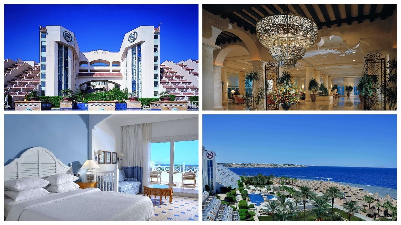 Обзор Sheraton Sharm 5*/Дорога до отеля и номер/ Питание. Чем кормят? Пляж и красивый риф/Анимация