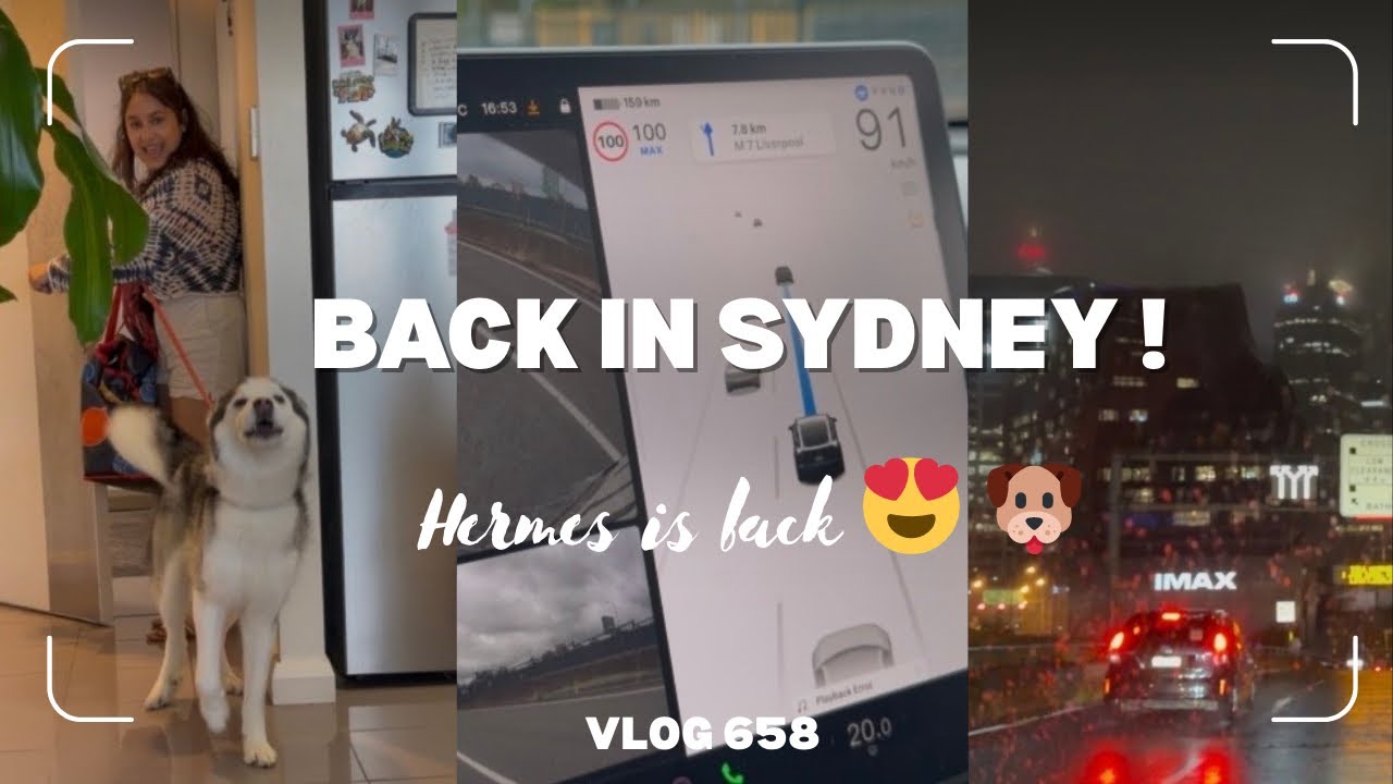 Снова в Сиднее 🇦🇺 Первый день после Непала, проверка реальности с татуировками и возвращение Herm...