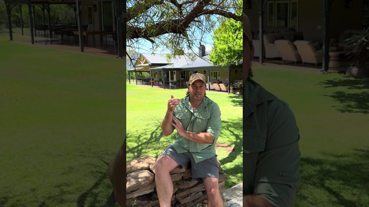 Samara Karoo Lodge review in South Africa #youtubeshorts #wildlife #africansafari