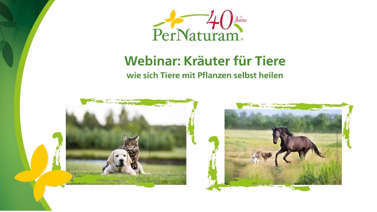 Kräuter für Tiere - wie sich Tiere mit Pflanzen selbst heilen