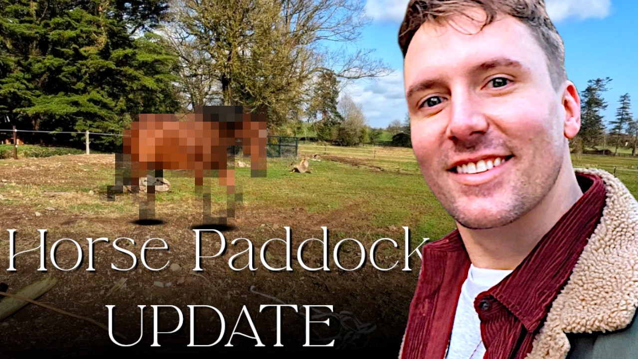 Building A New Horse Paddock - Everything You Need To Know