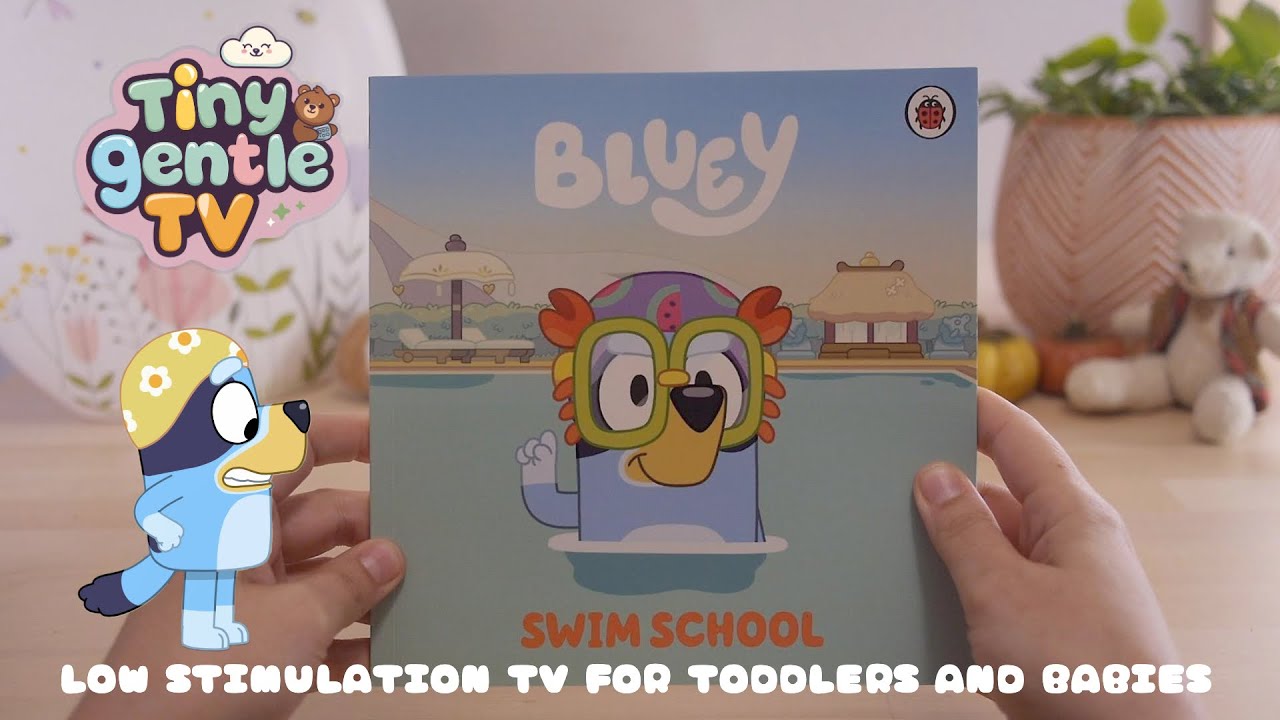 Bluey Swim School | Relaxing reading | Story time for toddlers | Bluey Book