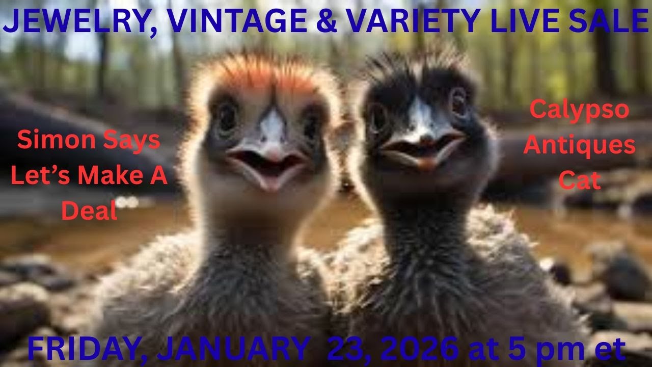 Jewelry, Vintage & Variety Live Sale with Cat, Calypso Antiques Friday, 1/23/26 5pm et