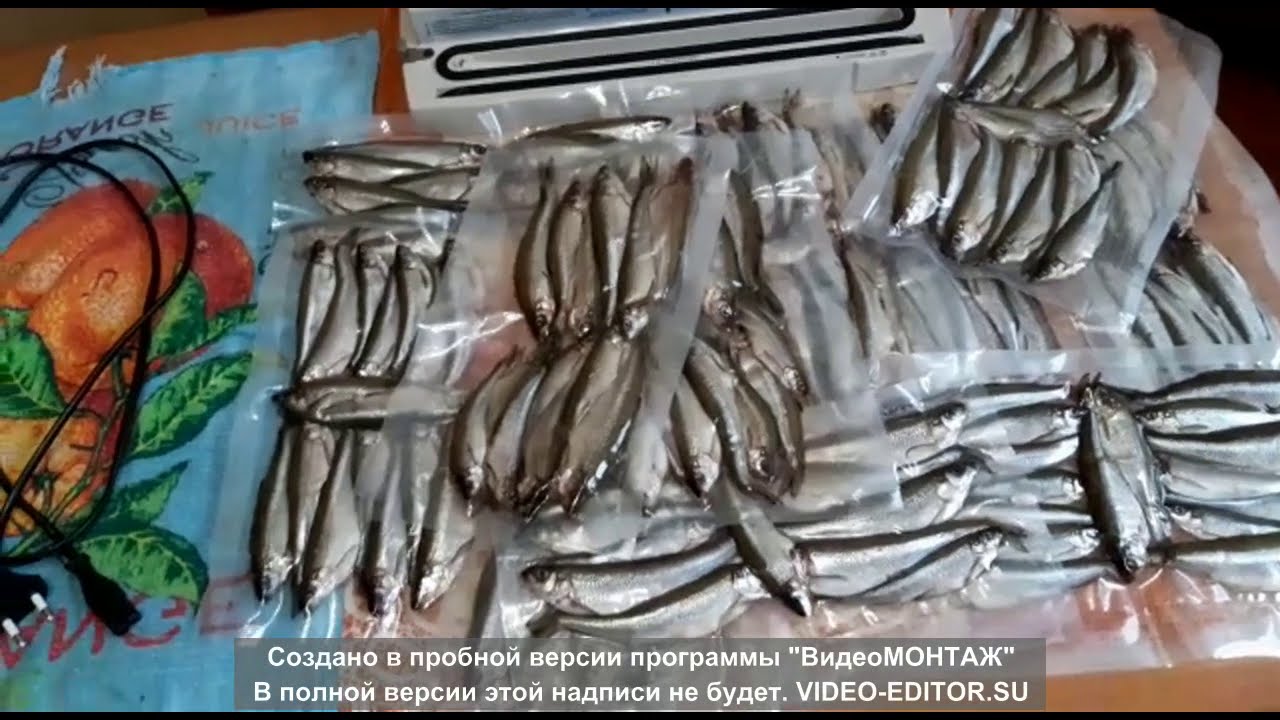 Корюшка Пузанок