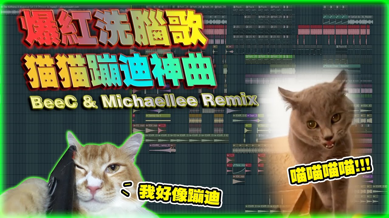 爆红洗脑歌(猫猫蹦迪神曲)BeeC & Michaellee Remix vol.58