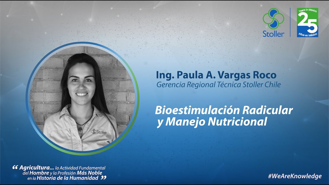 Bioestimulación Radicular y Manejo Nutricional