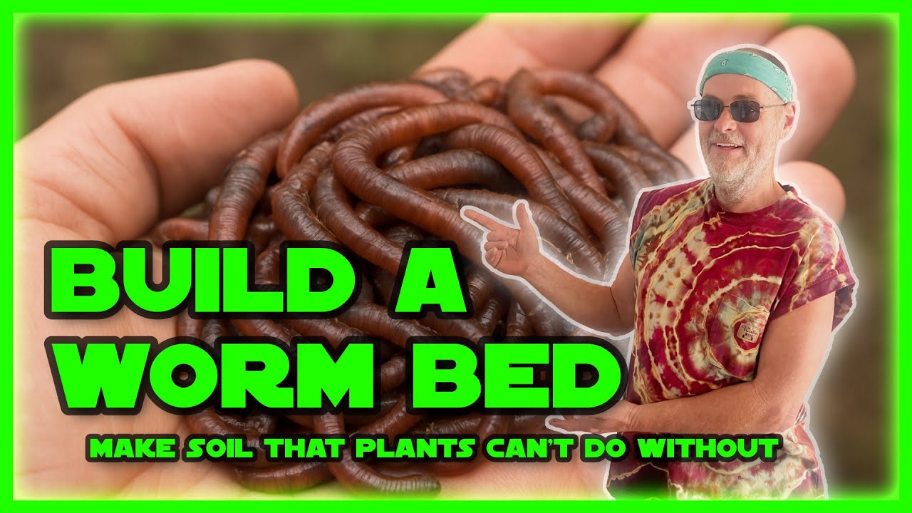 Grow Better Plants With Worm Power!