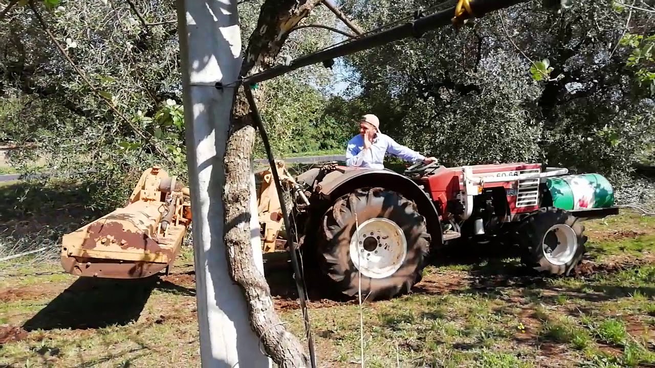 Fiat 60/66 frutteto contro trx9400 carraro