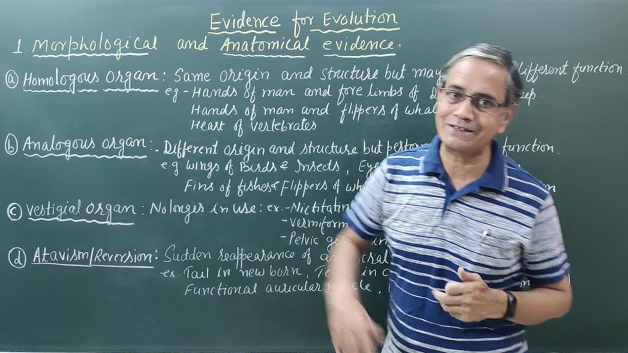 Morphological and Anatomical Evidences of Evolution