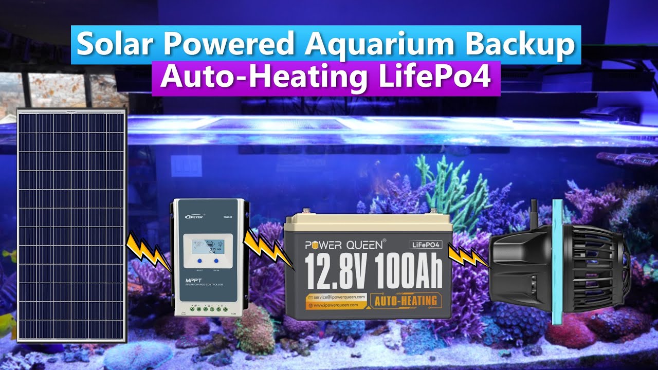 DIY Solar Powered Aquarium Backup -  PowerQueen 100ah LiFePo4 - Auto Heating