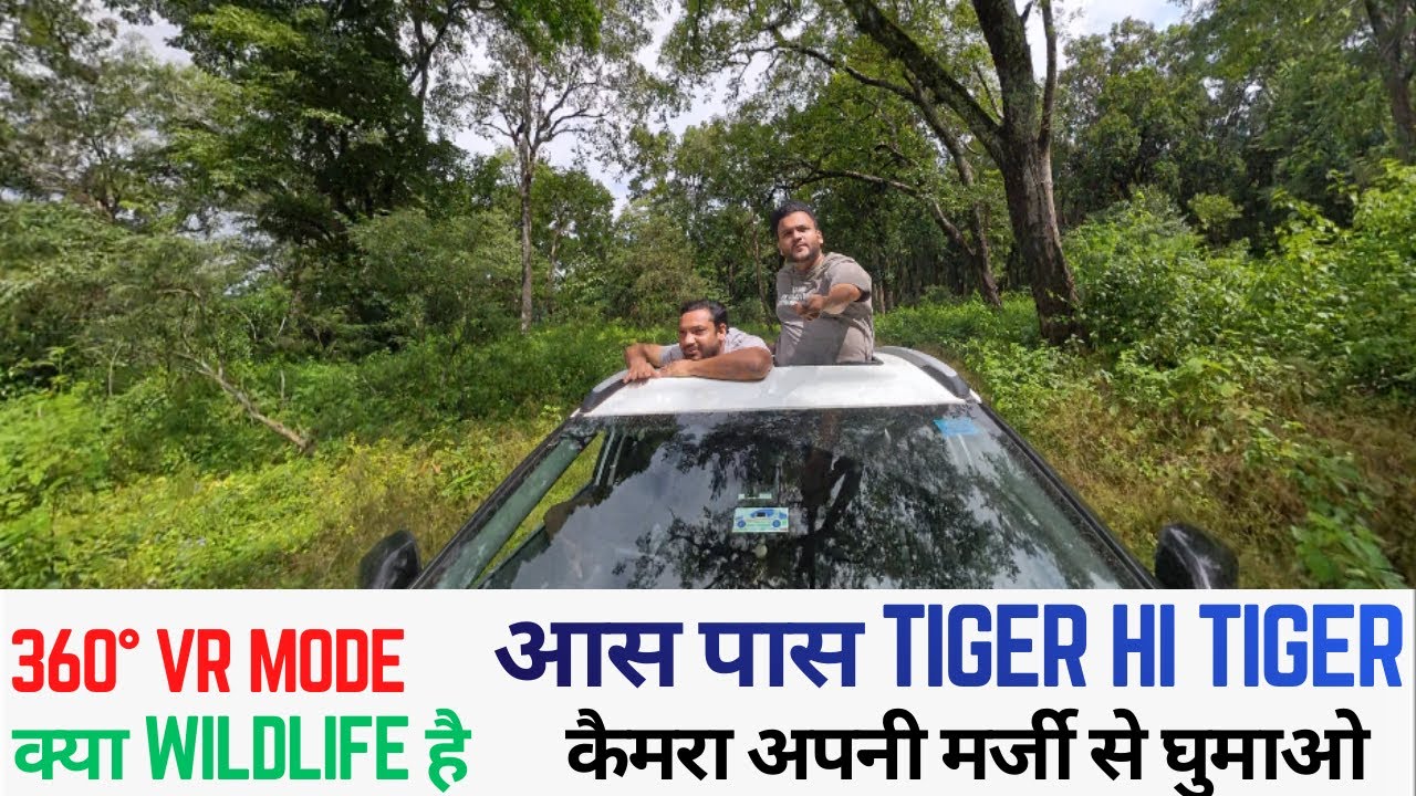 #Kalagarh Tiger Reserve के रास्ते में #Accident | ऊपर से #Tiger चारों तरफ Tiger Territory mini vlog