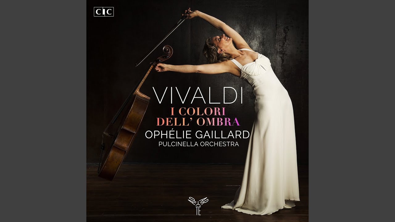 Concerto for violoncello piccolo in B Minor, RV. 424: I. Allegro non molto