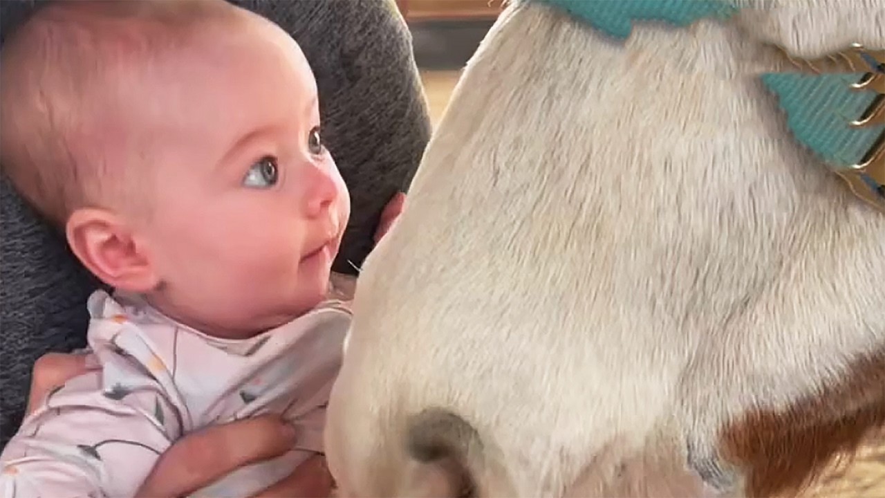 She Couldn’t Look Away From the Horse — And Now We Know Why