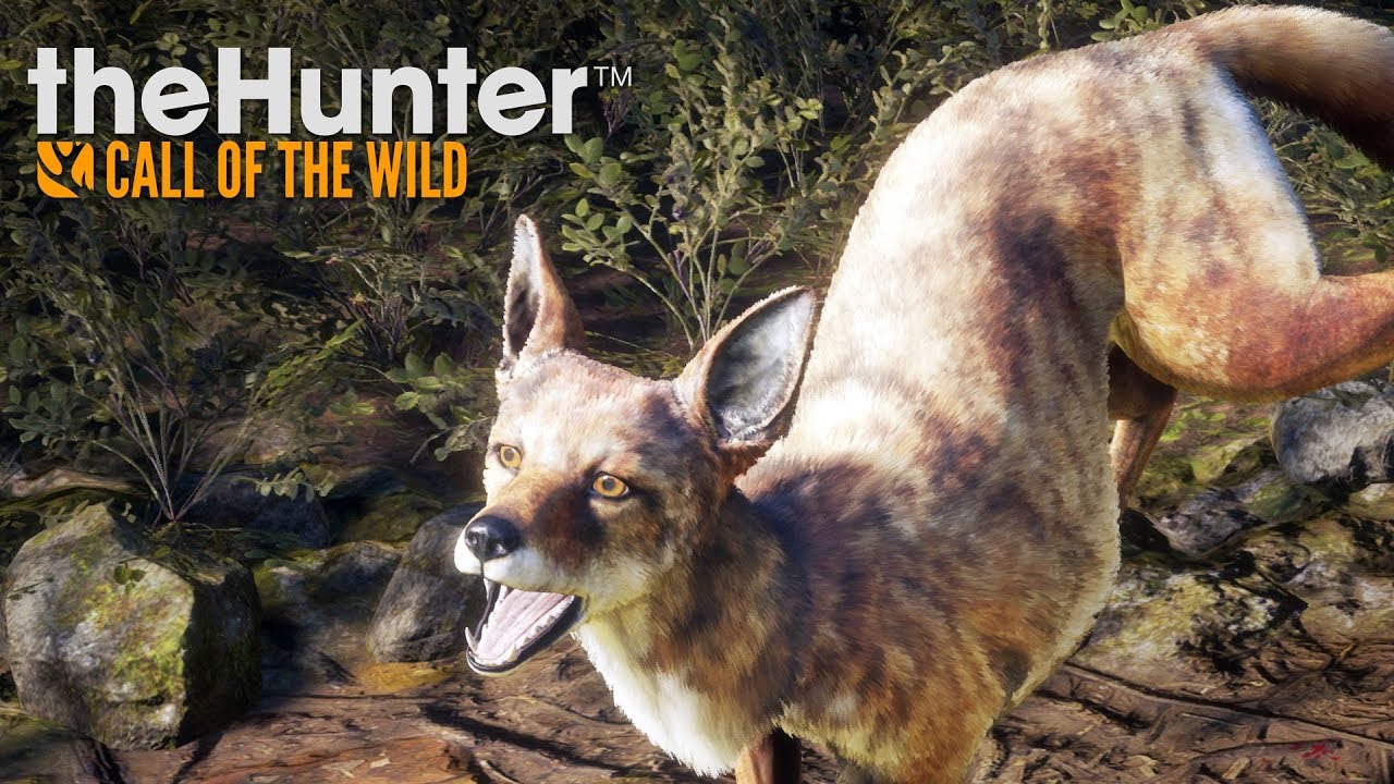 Best Hunt Ever! | Thehunter: Call of The Wild Live!