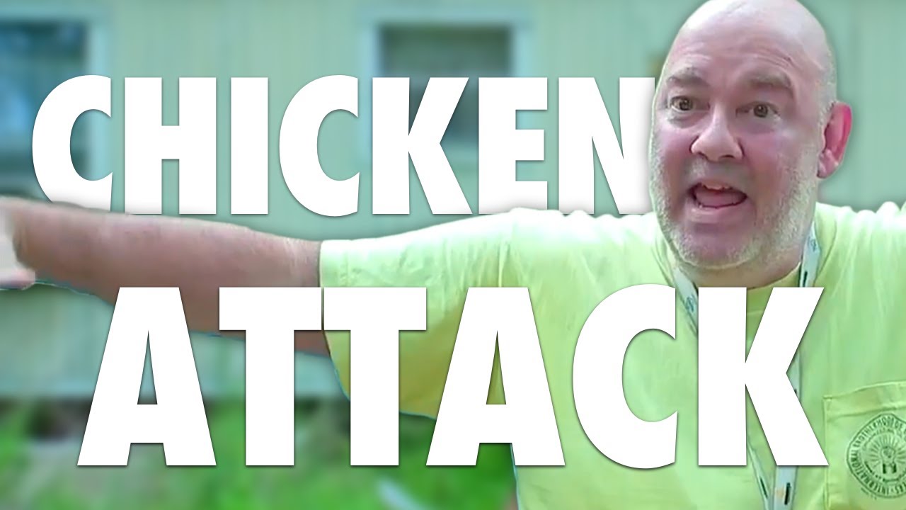 Chicken Attack Remix