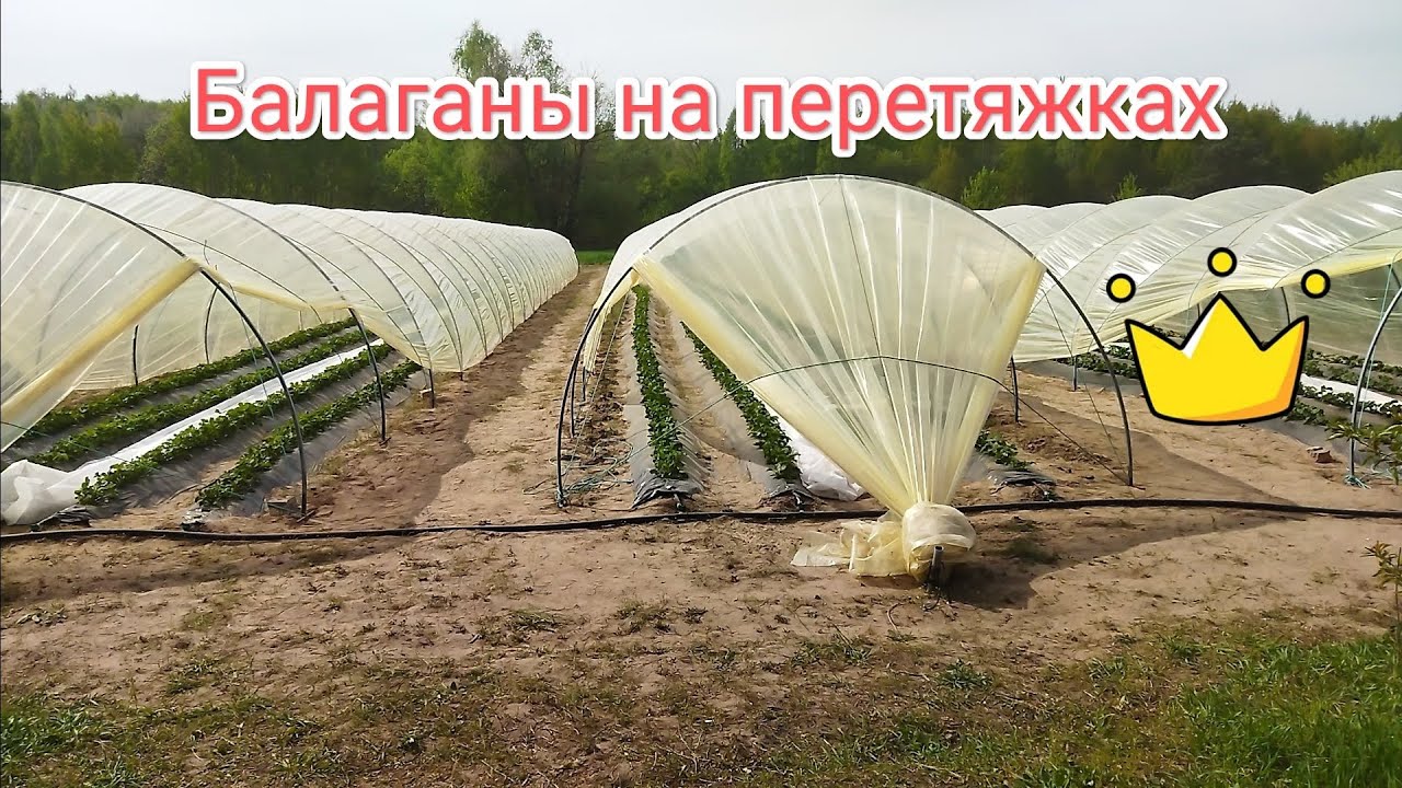 Балаганы тунели на перетяжках, обзор, пленка, металл, установка