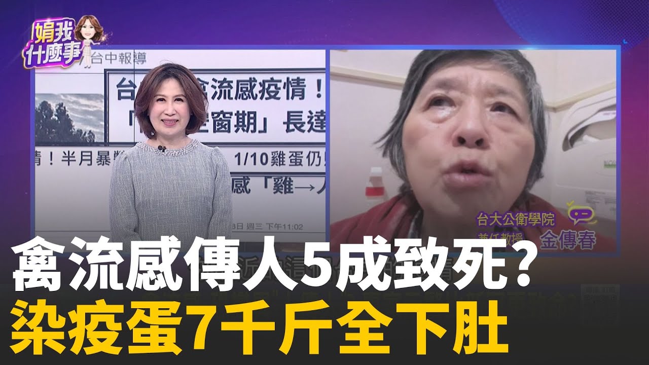 入冬就爆發? H5N1致死率近5成...禽流感爆恐慌?要錢不要命? 牧場發過年財...7千斤雞蛋流入市面? │陳斐娟 主持 │20260129 │關我什麼事