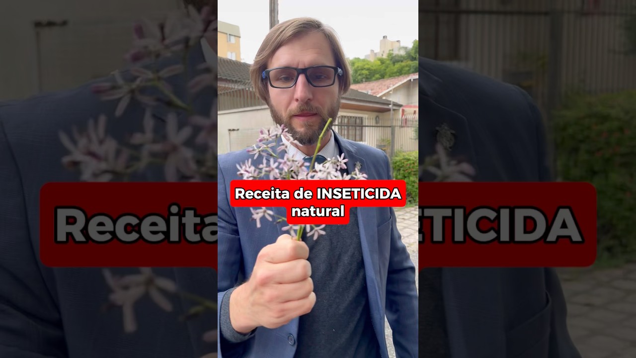 Inseticida natural