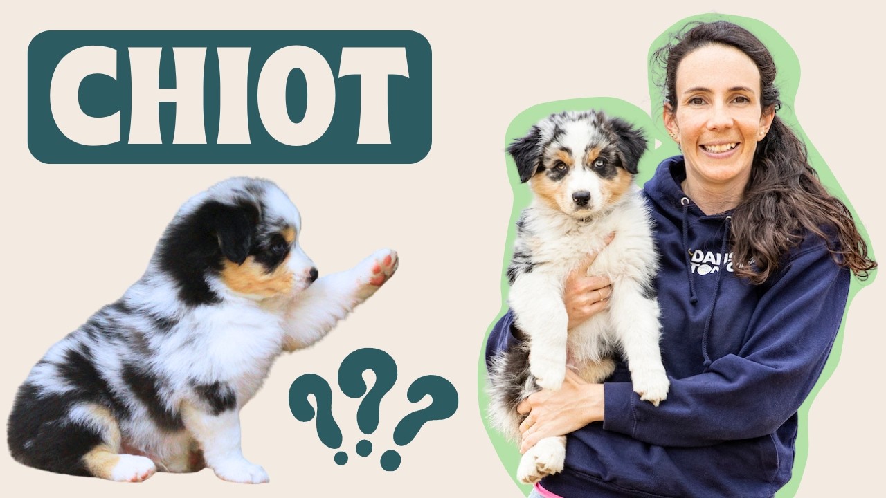 Ne commencez pas par des ERREURS ! Dossier CHIOT!