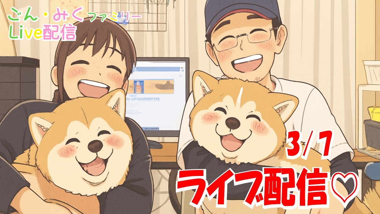 【ごん・みく】ファミリーライブ配信♪　秋田犬【ごん・みく チャンネル】