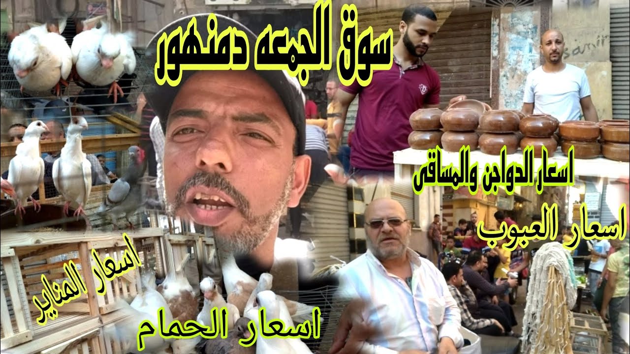اسعار الحمام ومستلزمات الغية من سوق الجمعه دمنهور اليوم ٢٧مايو٢٠٢٢#حمام_الغية