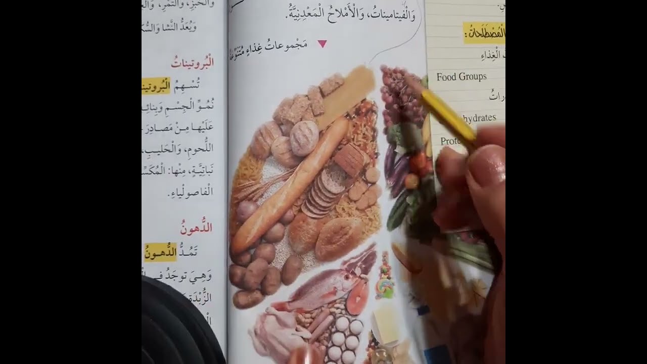 شرح و حل اسئلة مجموعات الغذاء علوم صف خامس فصل ثاني قناة حياتنا التعليمية