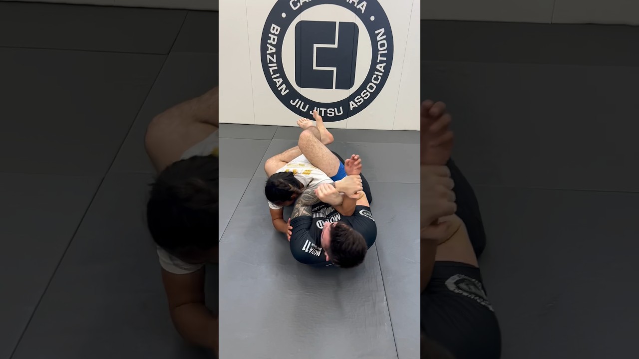 Try out this nasty Americana from closed guard! #bjj #JiuJitsu