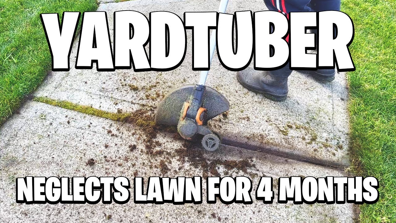 YARDTUBER NEGLECTS LAWN FOR 4 MONTHS! Can he bring it back to life? Before and After Results!