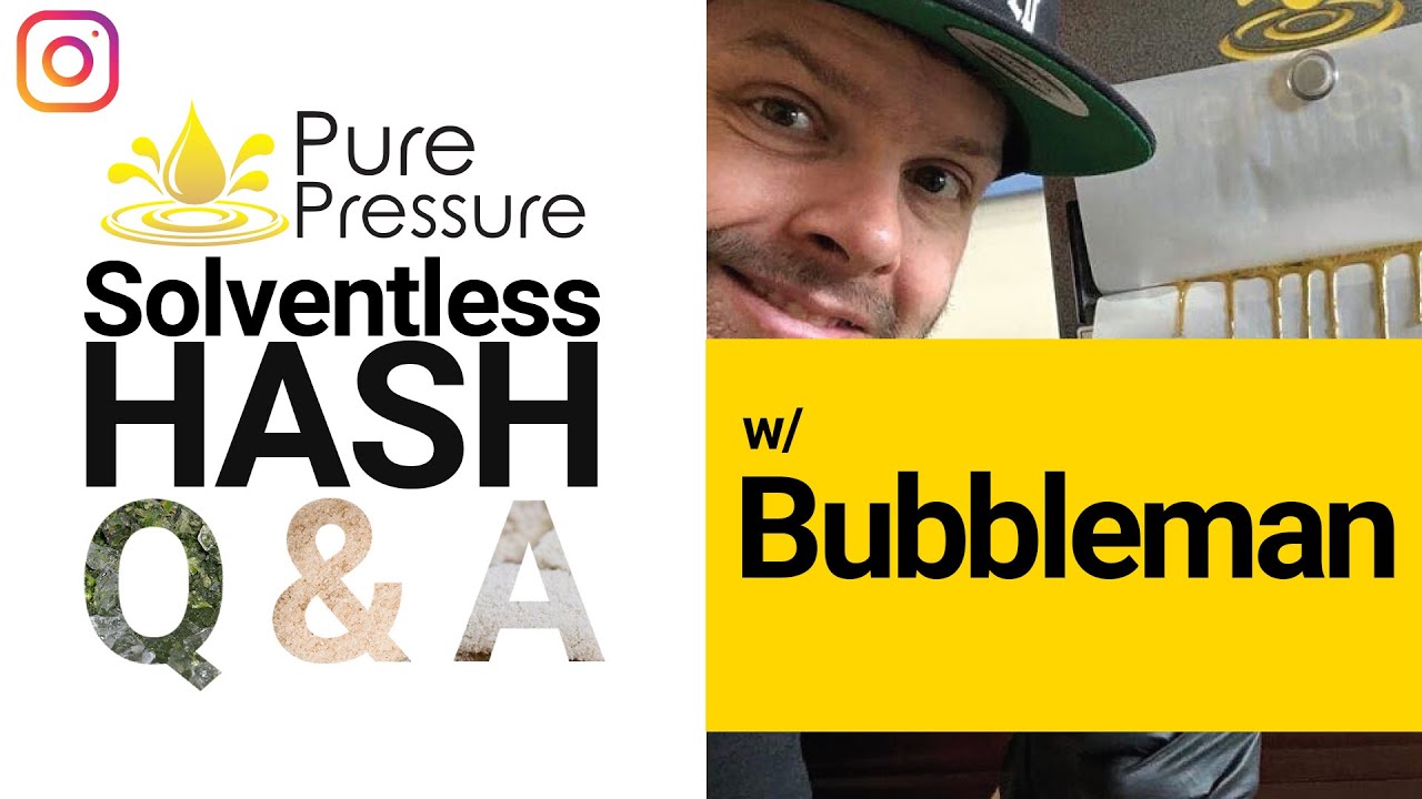 Solventless Hash Q&A: Bubbleman