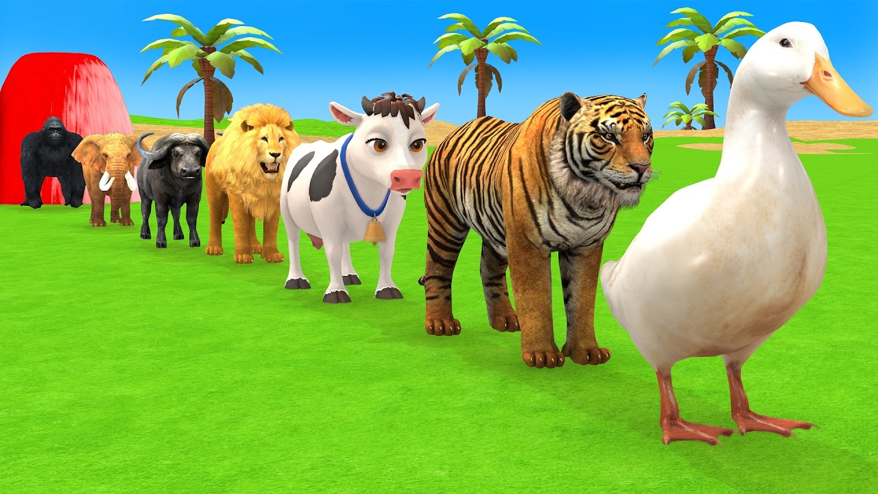 Long Slide Game with Cow Elephant Gorilla Hippopotamus Tiger 3d Animal Game Funny 3d Animals
