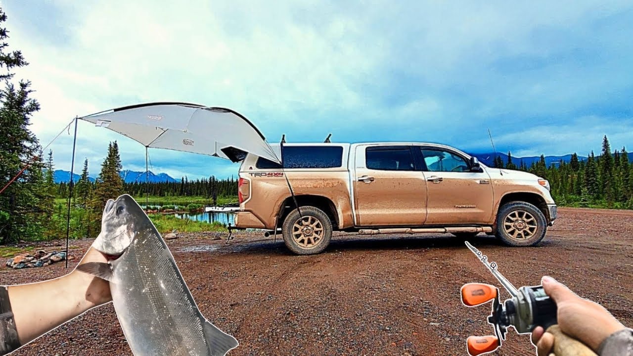 A 2 Days Truck Camping And Fishing Wild Salmon