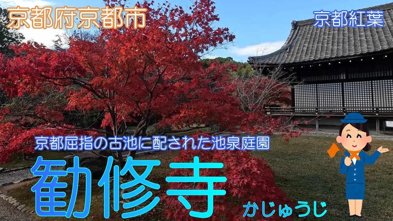 【京都府京都市】勧修寺で美しい紅葉に癒されました【京都紅葉】