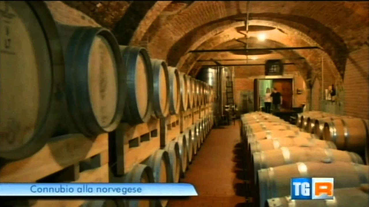 Tg3 Piemonte - TV2 doc