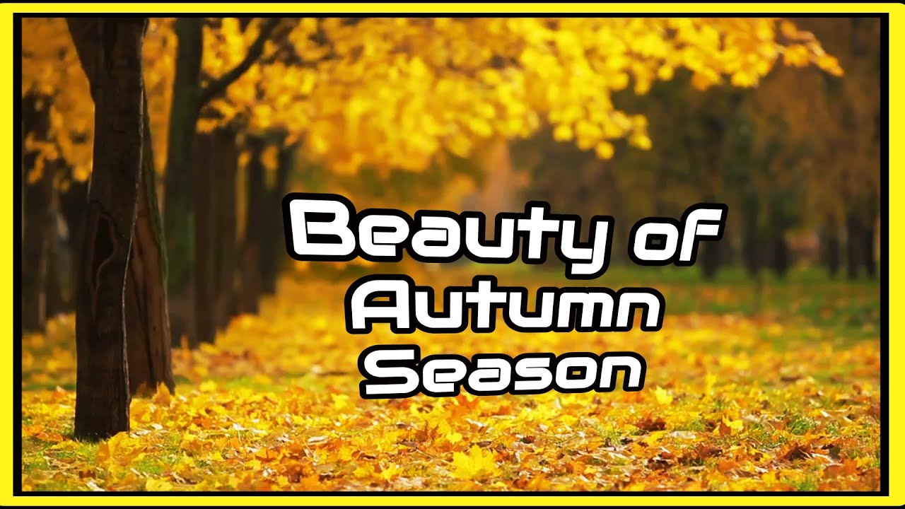 Beautiful autumn season in Finland.