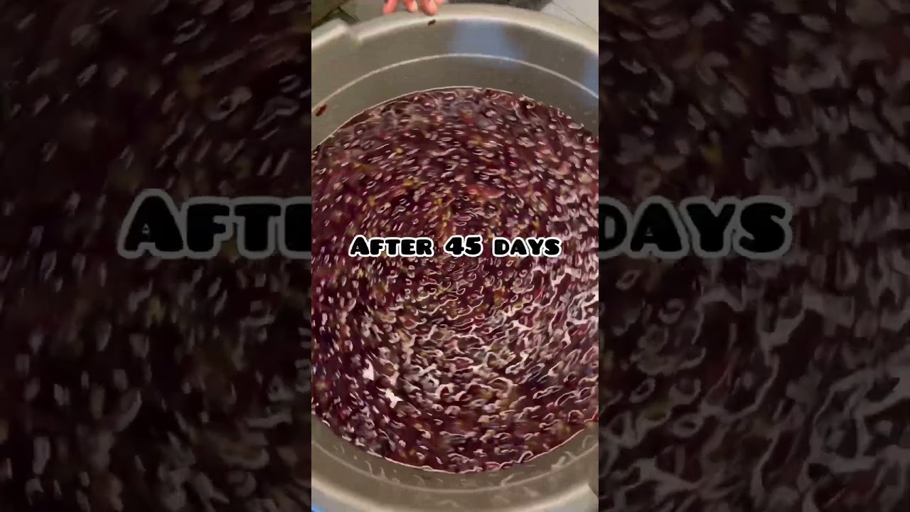 Homemade Grape Wine 🍷 making recipe @Low cost | Easy Making in Tamil #redwine #healthy #allwinjilly