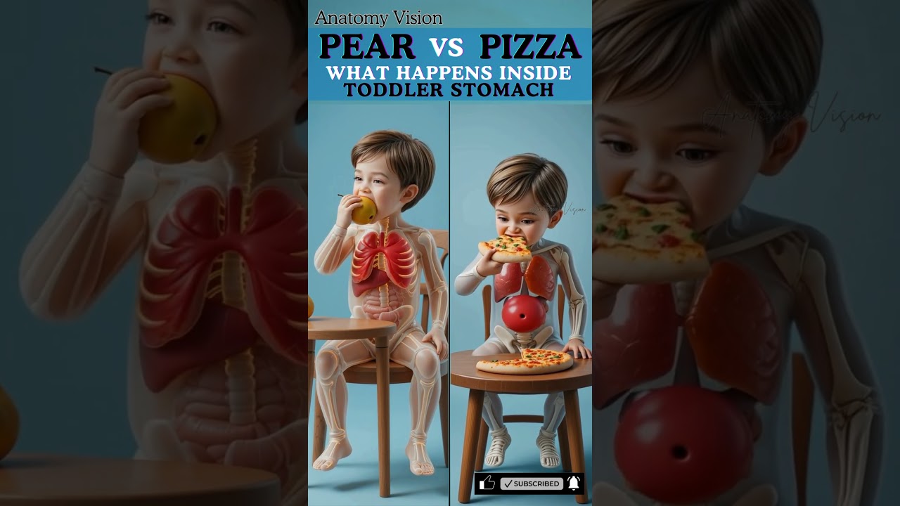 Pizza Harm Your Body, Pear Helps Repair It &mdash; Tested Inside