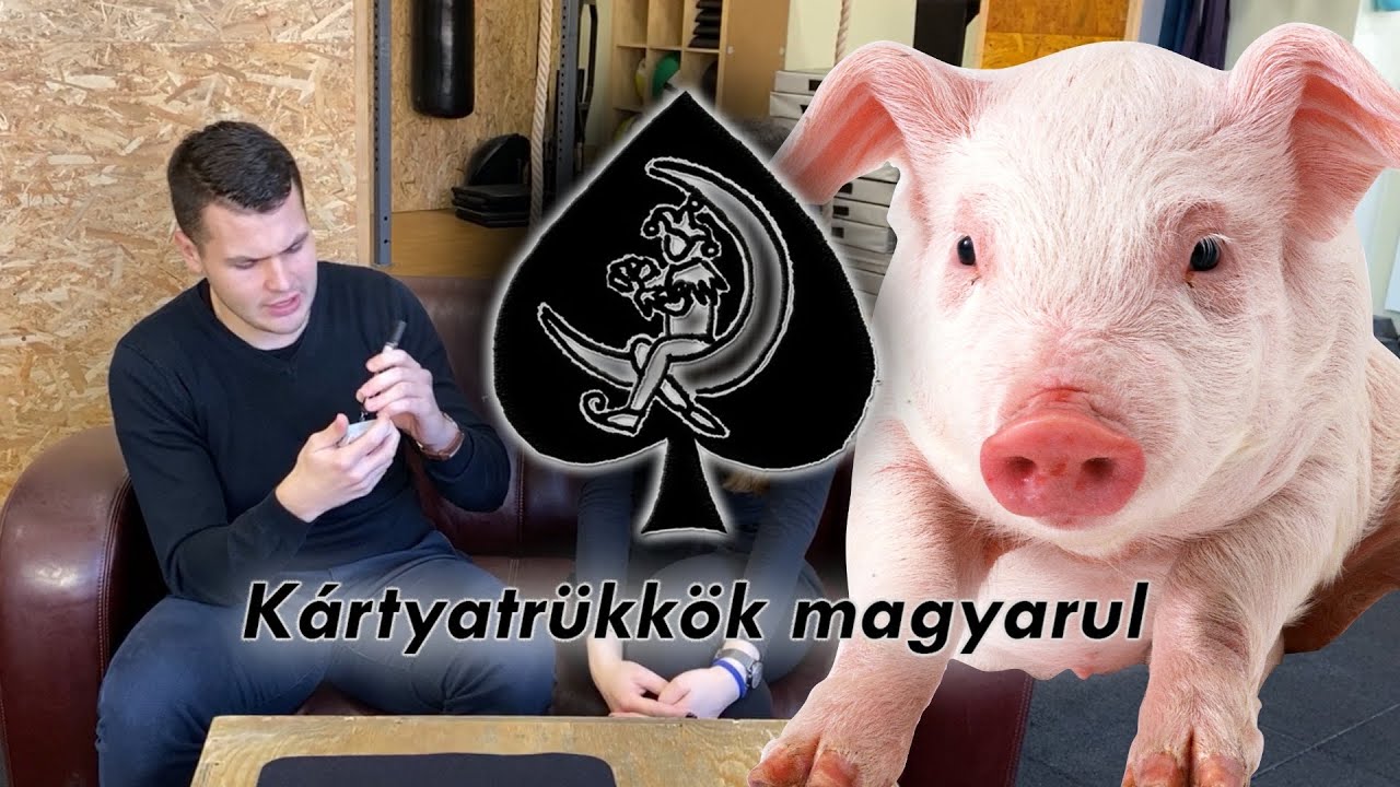 Így jósold meg előre a néző által választott szót! ｜HIHETETLEN Kártyatrükk magyarázattal