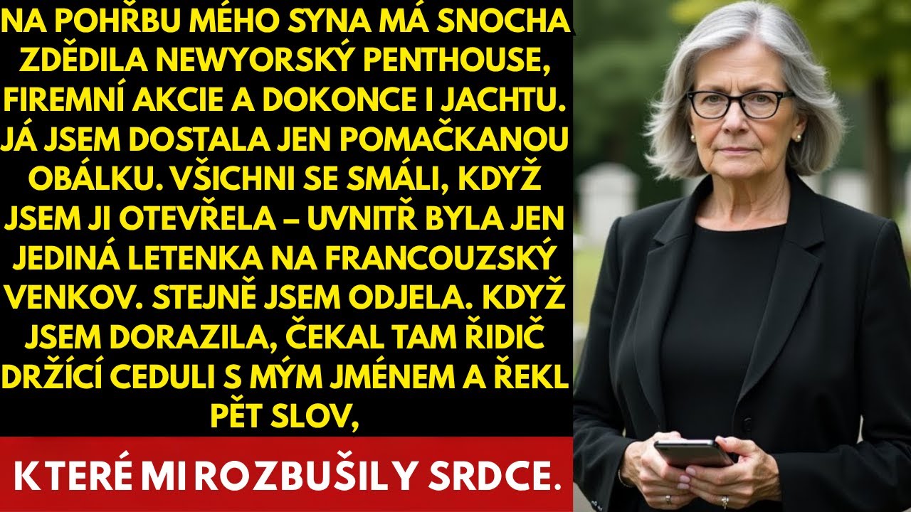 MŮJ SYN ZEMŘEL A NECHAL MI JEN LETENKU DO VENKOVSKÉ FRANCIE, KDYŽ JSEM TAM DORAZIL…