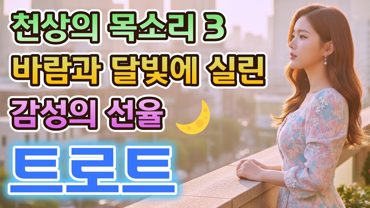 천상의 목소리 3 - 세 번째 앨범🎤 바람과 달빛이 전하는 그리움의 선율🍃 감성 트로트 모음