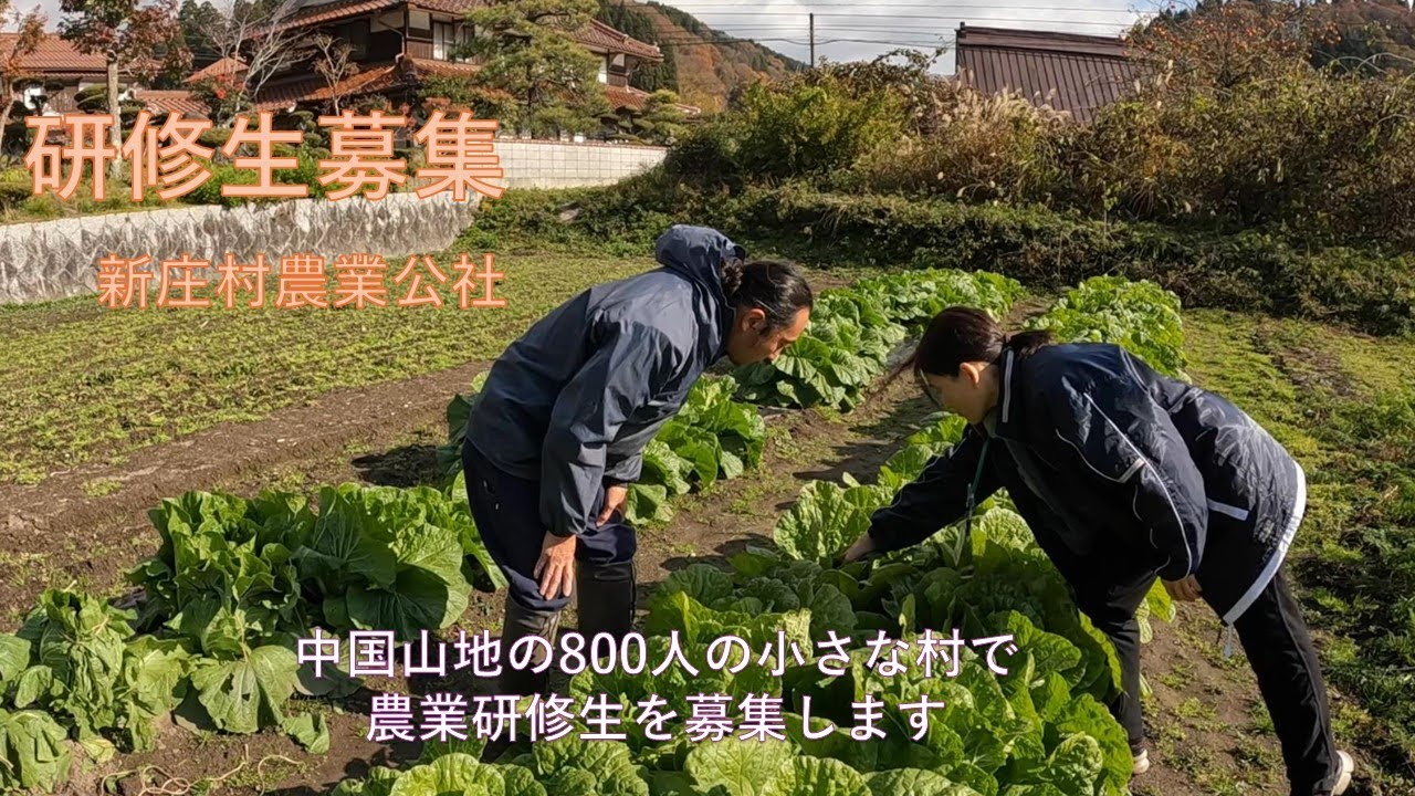 研修生募集　新庄村農業公社