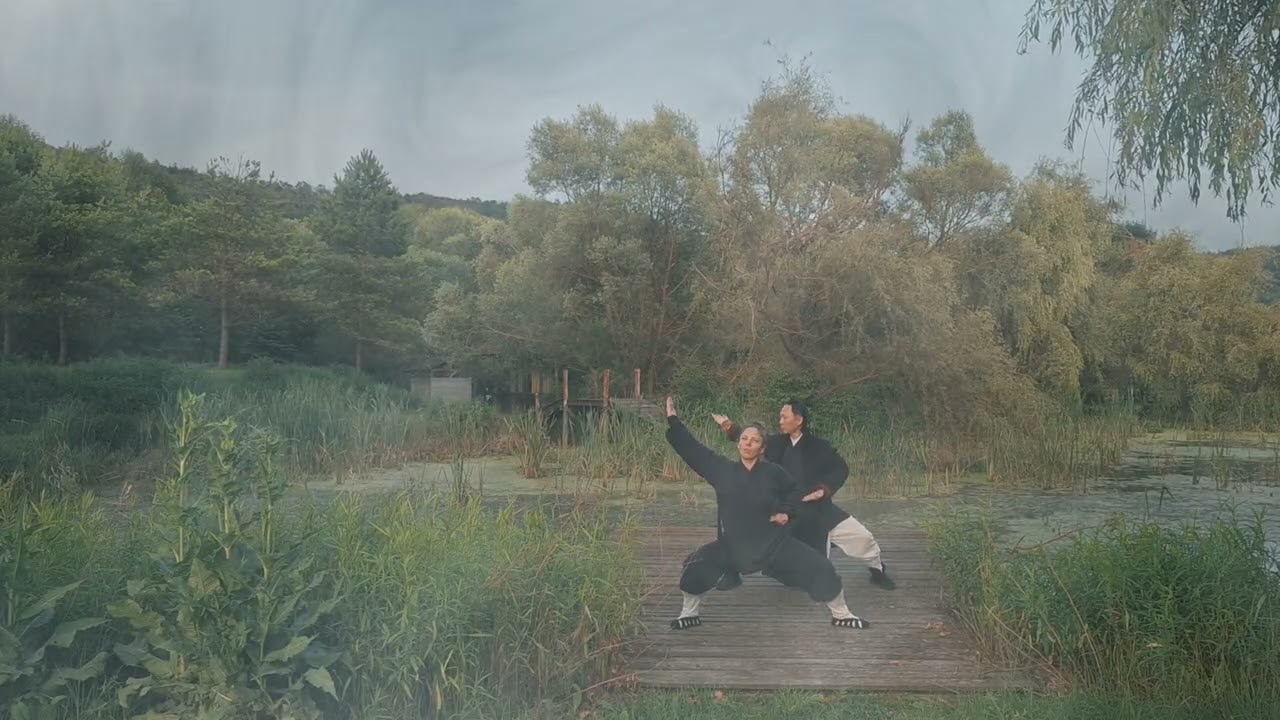 Wudang Swallow Skimming Water