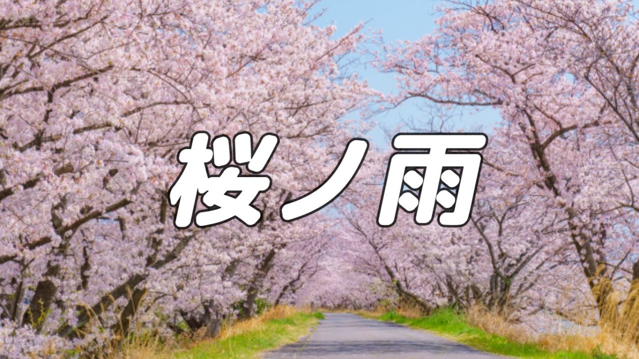 【合唱曲】桜ノ雨 / 混声三部合唱【歌詞付き】