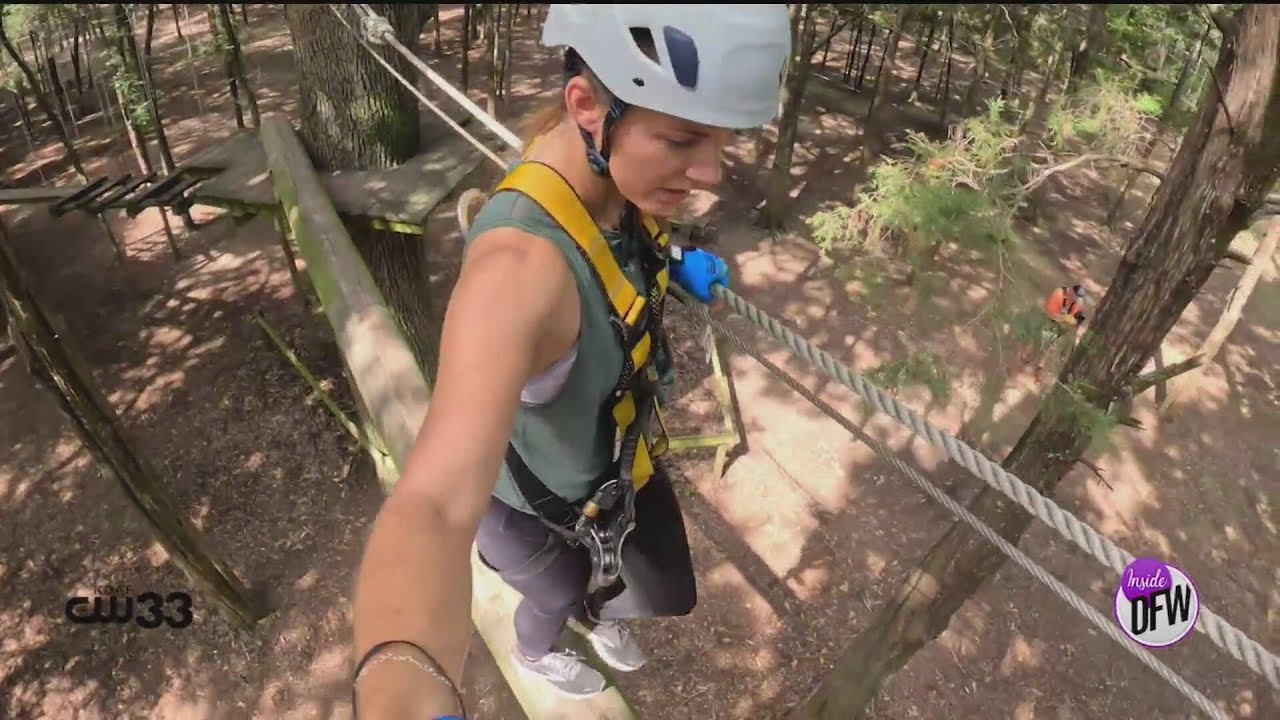Fun in the trees at Trinity Forest Adventure Park